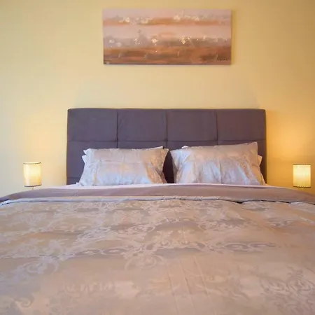Perfect New In Apartment